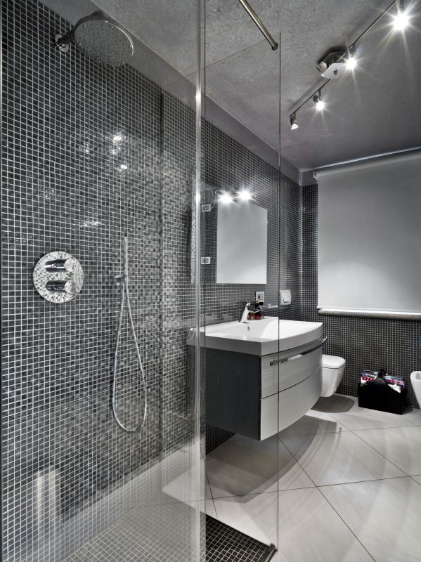 Sleek Modern Shower